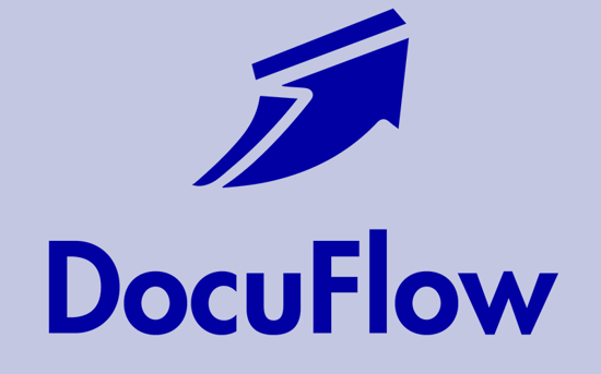 2021_DocuFlowLogo-Blauw 2