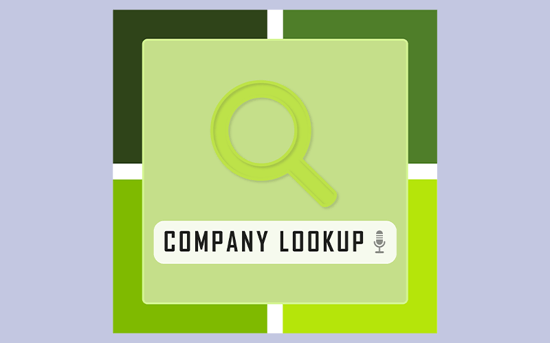 Company Lookup