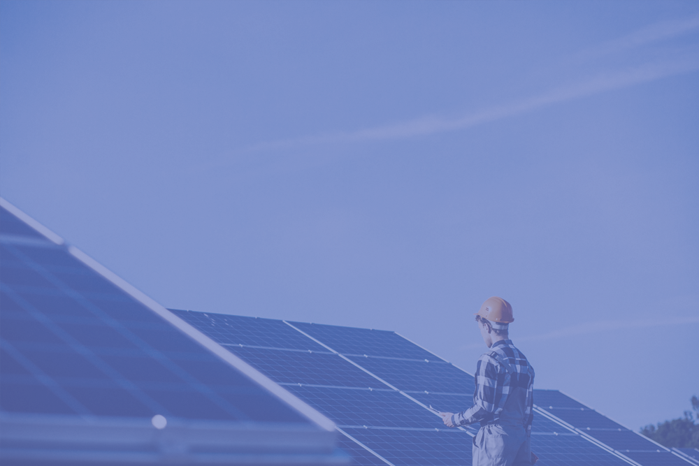 Trends Solar