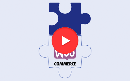 WooCommerce-Koppeling1