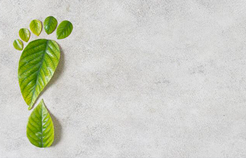 Sneller co2-neutraal met Microsoft Cloud for Sustainability, ja of nee?